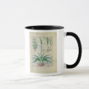 Search for cur mugs Testard