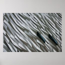 Search for abstract shapes shape posters Grey