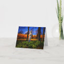 Search for cemetery cards Landscape