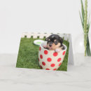Search for teacup cards Puppy