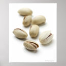 Search for pistachio art Green
