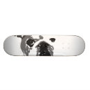 Search for bulldog skateboards Pets