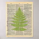 Search for dictionary art Nature