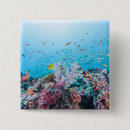 Search for scuba diving badges Tropical fish