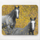 Search for mustard mousepads Photography
