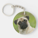 Search for looking at camera key rings Carlin