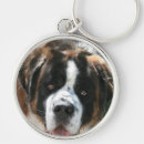 Search for st bernards key rings Animals