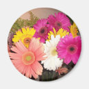 Search for multi region magnets Floral