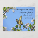 Search for swallowtail butterfly postcards Nature