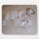 Search for happy easter mousepads Funny