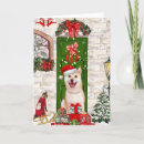 Search for shiba inu cards Pet