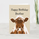 Search for dairy cow birthday cards Brown