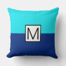 Search for cyan cushions Stylish