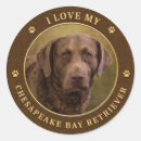 Search for chesapeake stickers Chesapeake bay retriever