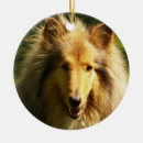 Search for collie christmas tree decorations Canine