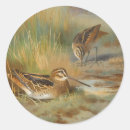 Search for bird illustration stickers Nature