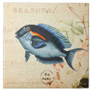 Search for blue fish tiles Tropical