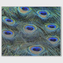 Search for gold feathers wrapping paper Teal