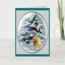 Search for cairn terrier christmas cards Dogs