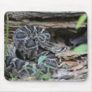 Search for poisonous mousepads Computer