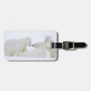 Search for threatened accessories White bear