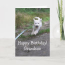 Search for goldendoodle birthday cards Pet