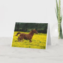 Search for running cards Horses