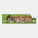 Search for clover bumper stickers Green