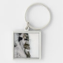 Search for arctic key rings Greenland