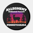 Search for allegheny Forest