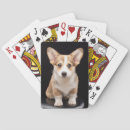 Search for corgi playing cards Pet