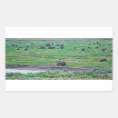 Search for bison landscape stickers Animal