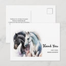 Search for white stallion cards Equestrian