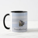 Search for terrapins mugs Wildlife