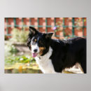 Search for mouth open art Dog