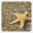 Search for beach glass stickers Colourful