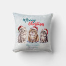 Search for kitty christmas cushions Cat