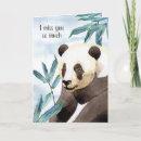 Search for watercolor panda cards Bear