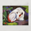 Search for steer postcards Animal