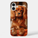 Search for king iphone cases Cavalier king charles spaniel