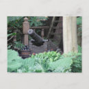 Search for cannon postcards Military