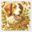 Search for brittany dog stickers Puppy