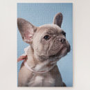 Search for french bulldog puzzles Pets