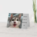 Search for funny 16th birthday cards Photography