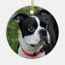 Search for black and white dog christmas tree decorations Canine