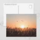 Search for reed postcards Sunrise