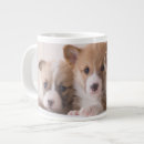 Search for cute corgi puppy mugs Queen elizabeth's