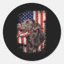 Search for labs stickers Stars and stripes