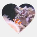 Search for pet fish stickers Orange