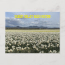 Search for spring colours postcards Garden